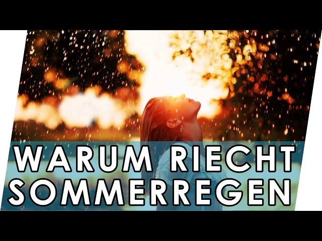 Warum riecht es nach Regen? | Geruch von Regen | Petrichor