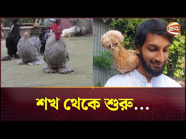 শখ থেকে শৌখিন মুরগি পালন করে সফল টাঙ্গাইলের কৌশিক | Chicken | Tangail News | Channel 24