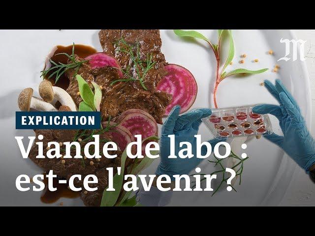 La viande de laboratoire peut-elle nourrir la planète ?