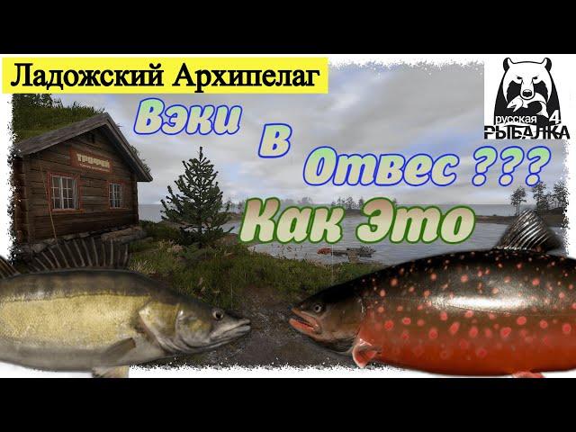 Russian Fishing 4, Ладожский Архипелаг - Вэки, Палия. Русская рыбалка 4 #рр4