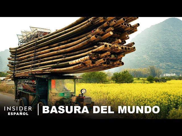 ¿Puede el Bambú Reemplazar al Papel y al Plástico? ¿Debería? | Basura Del Mundo | Insider Español