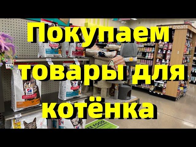 США.Зоомагазин.Решили завести котёнка.Покупаем товары для котёнка в зоомагазине и на Amazon.