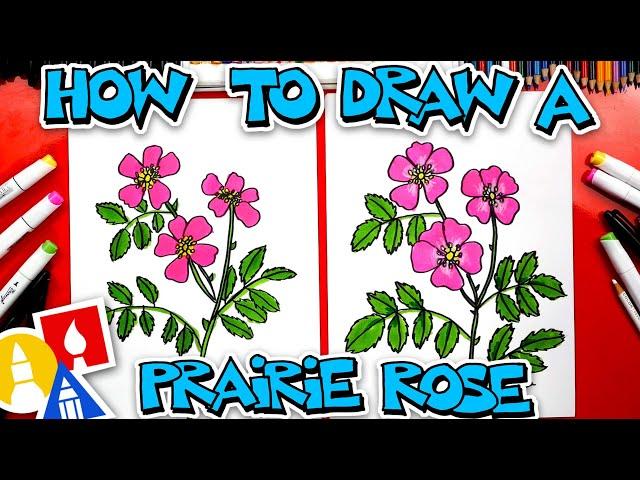 How To Draw A Prairie Rose Flower