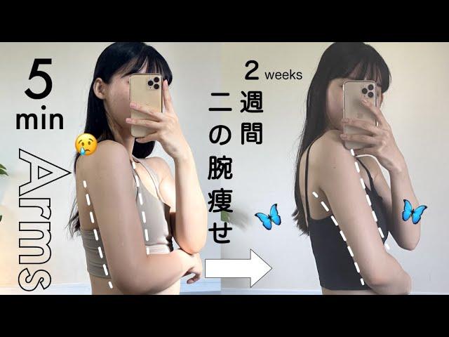 【夏までに二の腕痩せ！】ほぼ座ったままで効果が出る5分間の鬼トレーニング｜5min Toned Arms workout