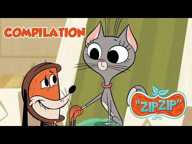 Clean As A New Pin | Zip Zip | 5 hours COMPILATION - Season 1 | Cartoon for kids