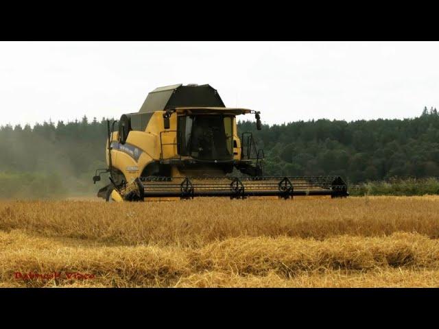 Harvesting with Brand New CX8.80 from New Holland.  Also Changing Fields, Removing Header.