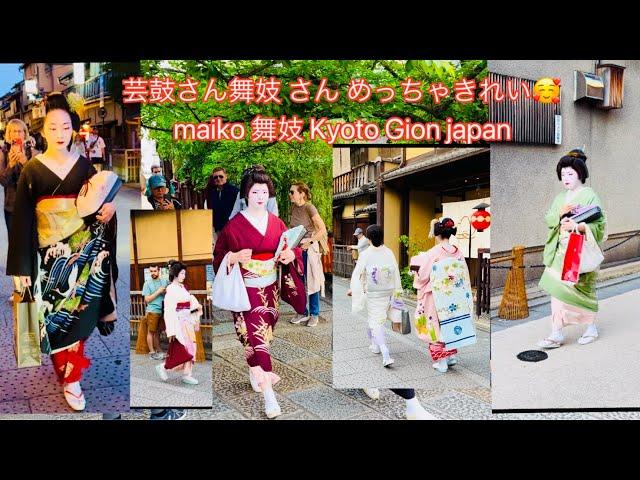 芸鼓さん舞妓 さん めっちゃきれいmaiko #舞妓  #maiko #kyoto Kyoto Gion japan 4k🪭