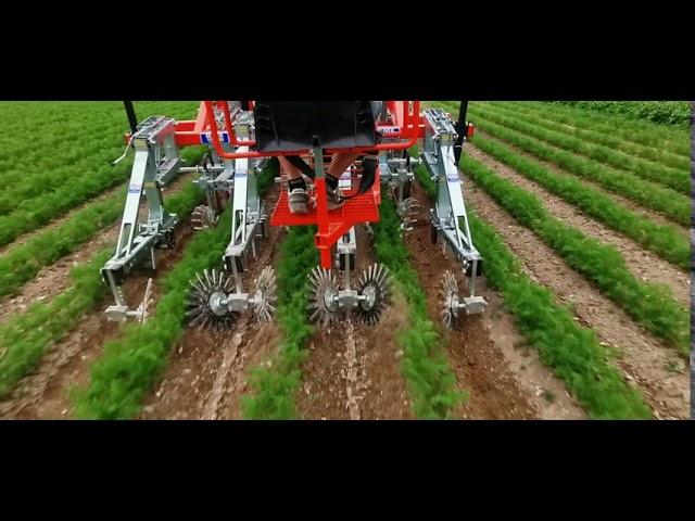 ROTOVERT INTER ROW WEEDING MACHINE ON CARROTS SARCHIATRICE INTERFILARE PER CAROTE BINEUSE CAROTTE