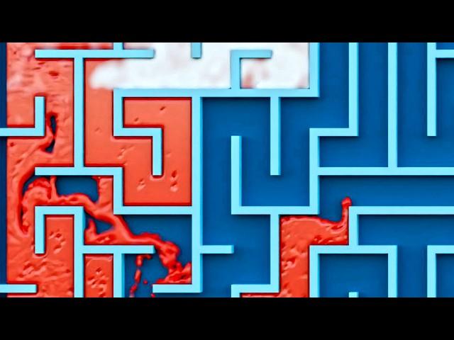 Red and White Swirl vs. Blue Maze – Mesmerizing Simulation!