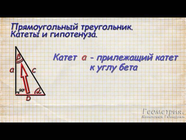 Что такое синус, косинус и тангенс угла в прямоугольном треугольнике. Часть 1