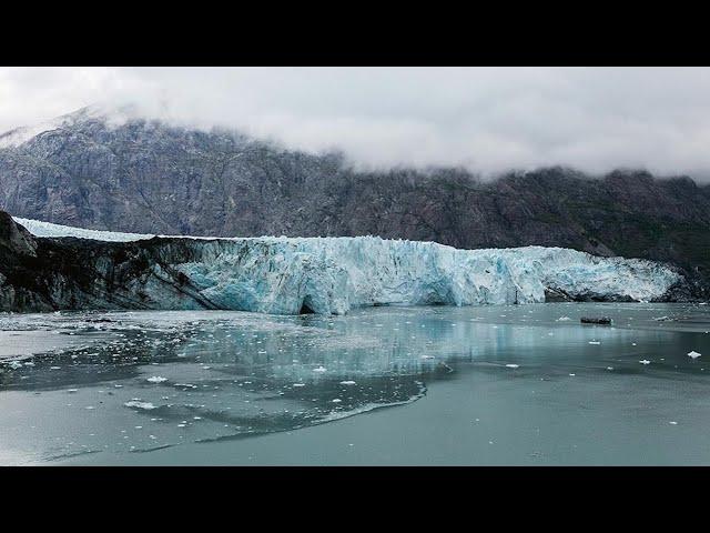 The Changing Arctic Carbon Cycle with Aleya Kaushik