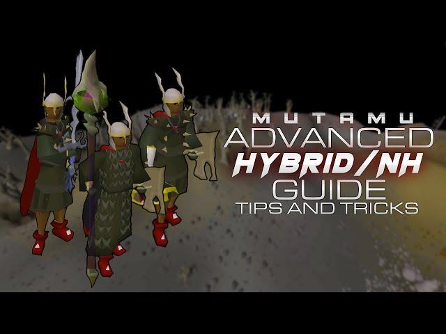 OSRS ADVANCED Hybrid/NH Guide. (TIps and Tricks)