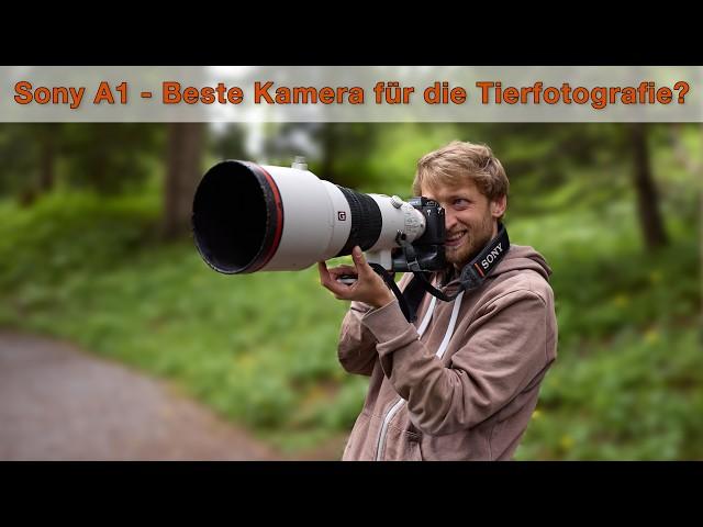 Sony A1 Review - Besser als Nikon Z9 oder Canon R5?