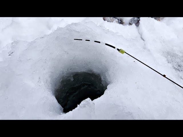 ЗАБРАЛСЯ В РЕАЛЬНУЮ ГЛУШЬ, ГДЕ НЕТ ЛЮДЕЙ! РЫБАЛКА НА ДИКОМ ЛЕСНОМ ОЗЕРЕ!