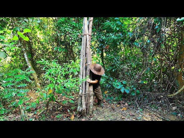 Make bamboo pillows and collect firewood: Survival Alone In The Rainforest | EP.108