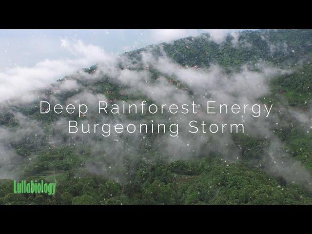 RAINFOREST ENERGY! Body, Mind and Spirit Chakra Bath! #love #lullabiology #power #dailysoundscape