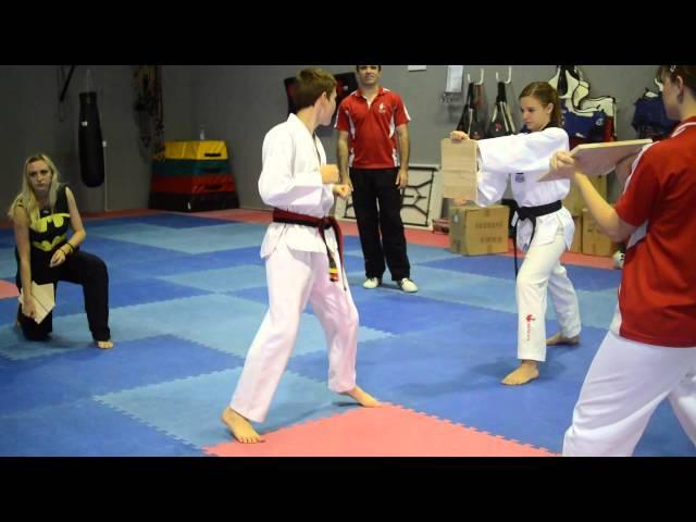 Taekwondo Board Breaking Montage - Hanmadang 2013 - Factorten Martial Arts