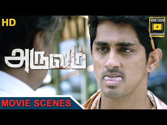 Aruvam Tamil Movie | Siddharth Best Scenes | Catherine Tresa | Sathish | Aadukalam Naren | Siddharth