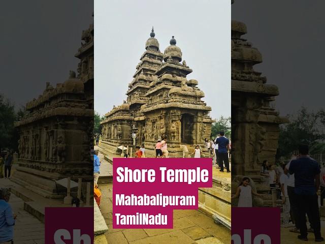 Shore Temple, Mahabalipuram, TamilNadu #incredibleindia #mahabalipuram #dekhoapnadesh #trendingvideo