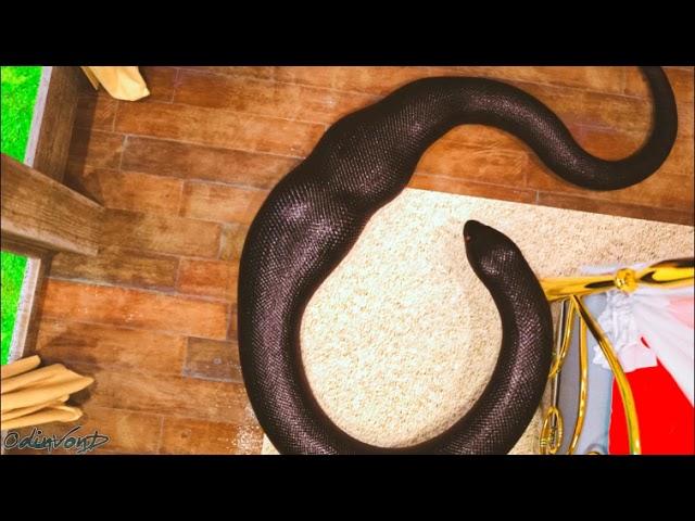 Anaconda: Incarnation - Scar's Snacks 1 - 110 Vore Animation