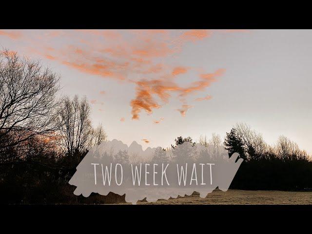 IVF CYCLE #3 | vlog - the two week wait