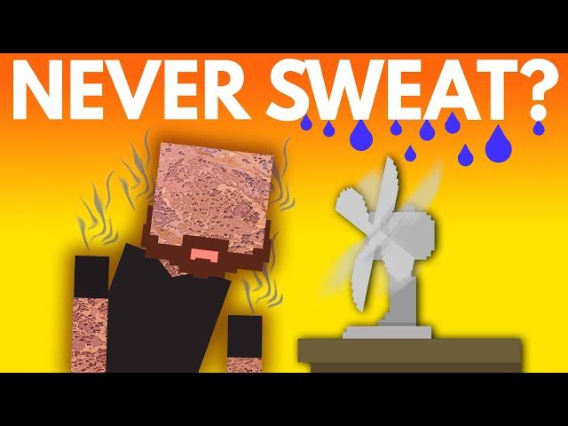 What If You Never Sweat?