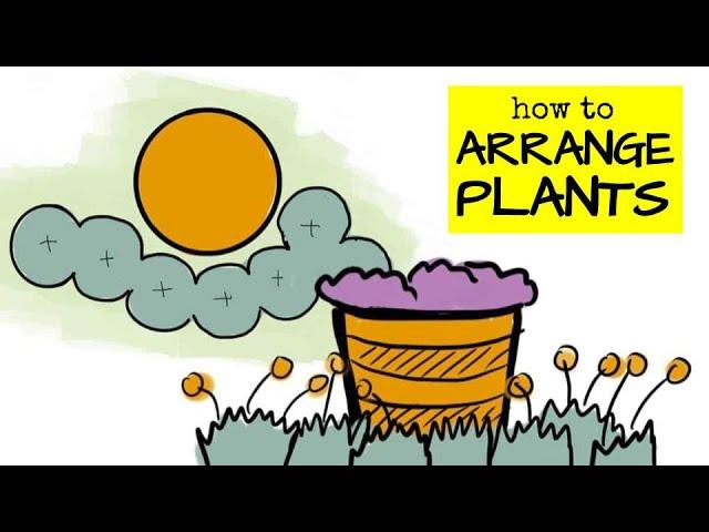 How To Arrange Plants in Garden Beds (4 Simple Ways)