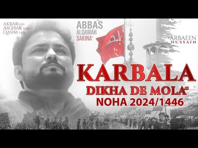 Karbala Dekha De Mola | Syed Raza Abbas Zaidi | Nohay 2024 | Muharram 1446 / 2024 | Karbala