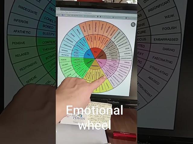 What is the Emotional Wheel?