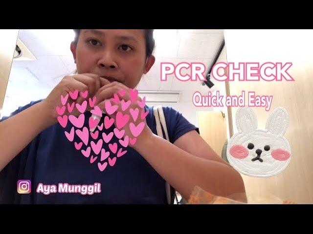 HOW TO CHECK PCR IN JAPAN / PCR CHECK IN MACHIDA PCR STATION / 町田PCRステーション