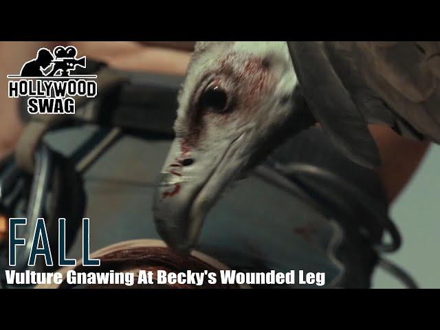 FALL (2022) : Vulture Gnawing At Becky's Wounded Leg  -- Hollywood Swag