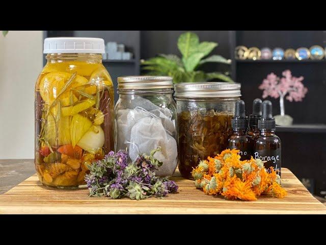 DIY Herbal Remedies: Powerful Medicinal Recipes to Try at Home