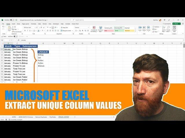 Microsoft Excel - Extract a Unique List of Values from a Column