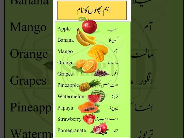 Top 10 Common Fruit Names in English with Urdu Translation | Learn Fruits Vocabulary