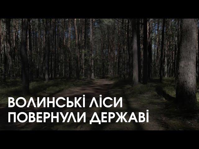 На Волині прокурори відсудили землі лісового фонду