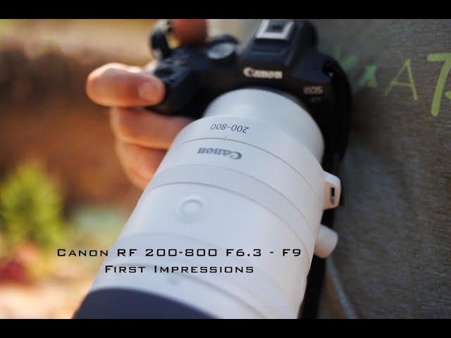 NEW Canon RF 200 - 800 F6.3 - F9 Lens - Wildlife and Bird Photography