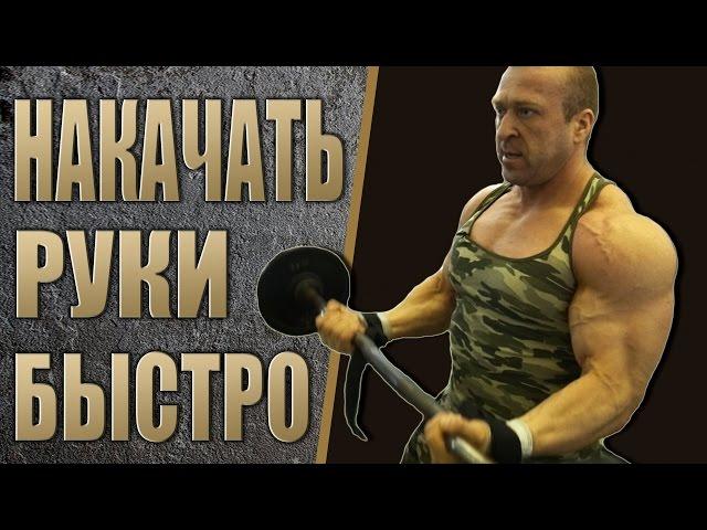 Бесплатная программа тренировки - РУКИ! Алексей Борисов