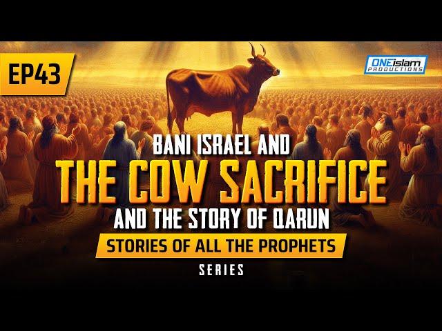 Bani Israel & The Cow Sacrifice & The Story of Qarun | EP 43 | Stories Of The Prophets Series