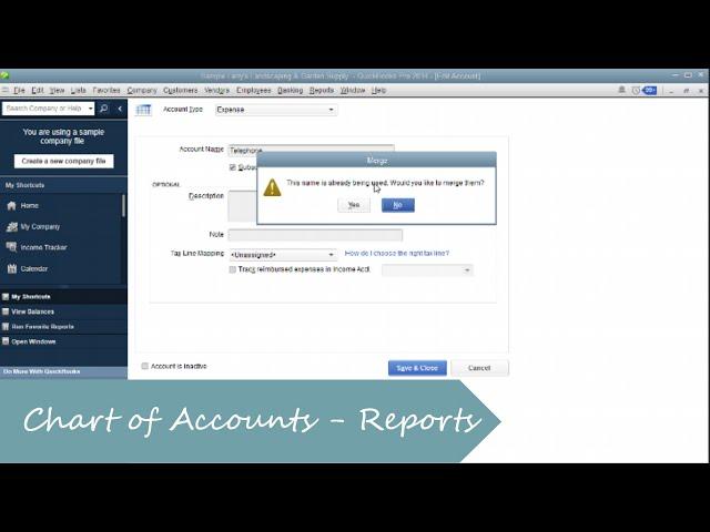 How do you customize your Profit and Loss using the Chart of Accounts in QuickBooks