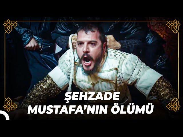 Sultan Süleyman, Öz Evladının Canını Aldı! | Osmanlı Tarihi