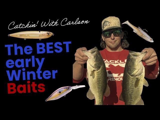 Best Early Winter Bass Fishing Techniques