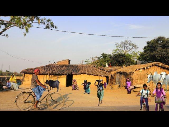 Village Lifestyle in Bihar India l Indian Village Poor People in Bihar l Bihar VillageLife Cahmparan