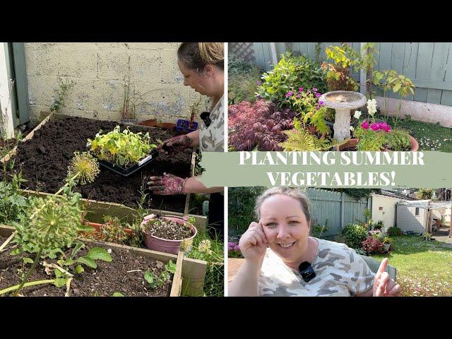 Planting lots of summer vegetables, plans for the house & how it's affecting my gardening!