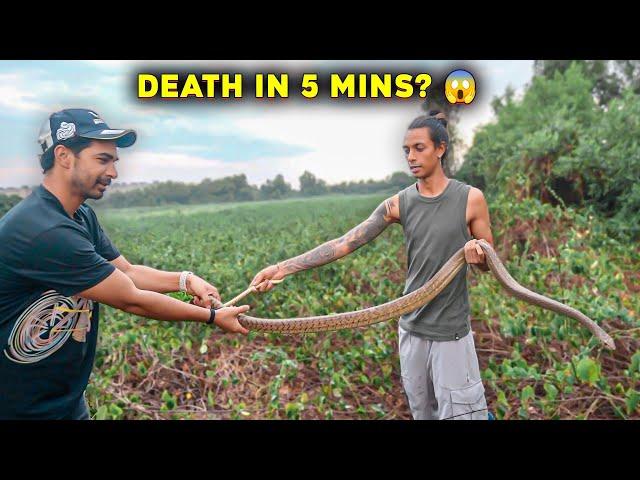 Venomous Snake Utha Liya  Rescued Snake Release Karne Gaye Special Series Keliye