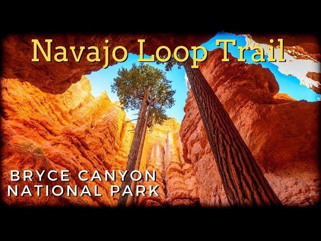 Navajo Loop Trail | Bryce Canyon National Park | 3 min