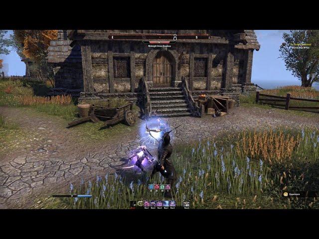 Elder Scrolls Online: Daedric Summoning Skill line