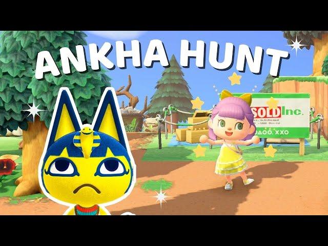 MUST FIND ANKHA!  ACNH Villager hunt | Animal Crossing New Horizons