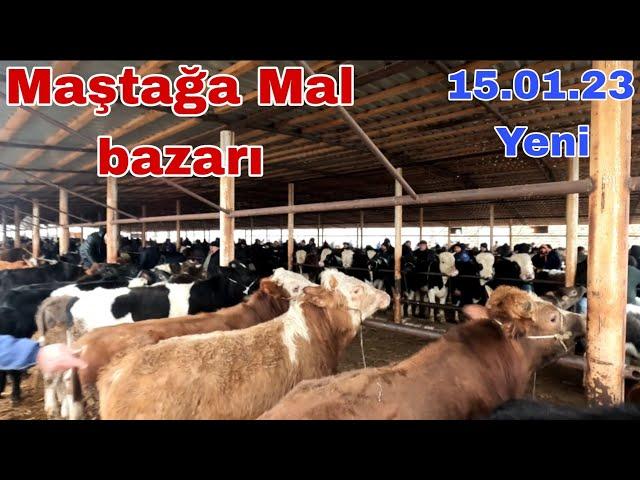 MAŞTAĞA - Mal Bazarı 15.01.2023