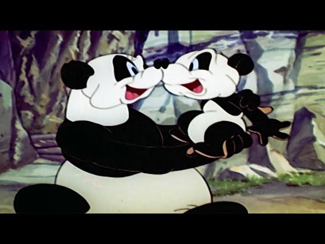 ¡Nace un panda bebé! | 2.5 Horas de Episodios Clásicos | El Pájaro Loco