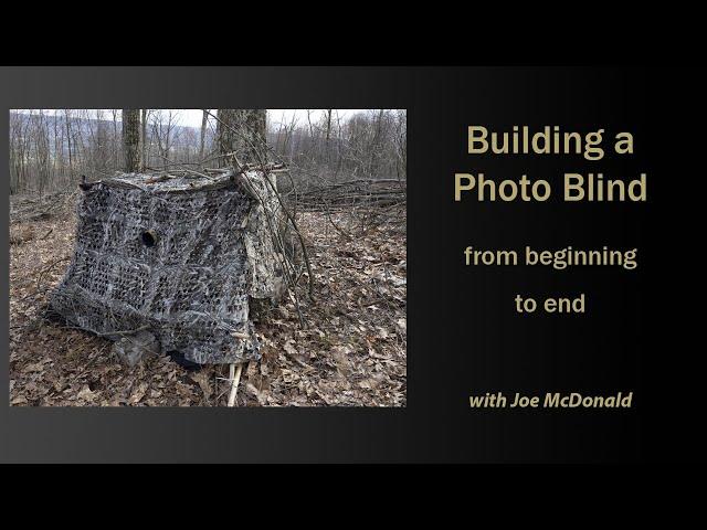 Building a Photo Blind from beginning to end